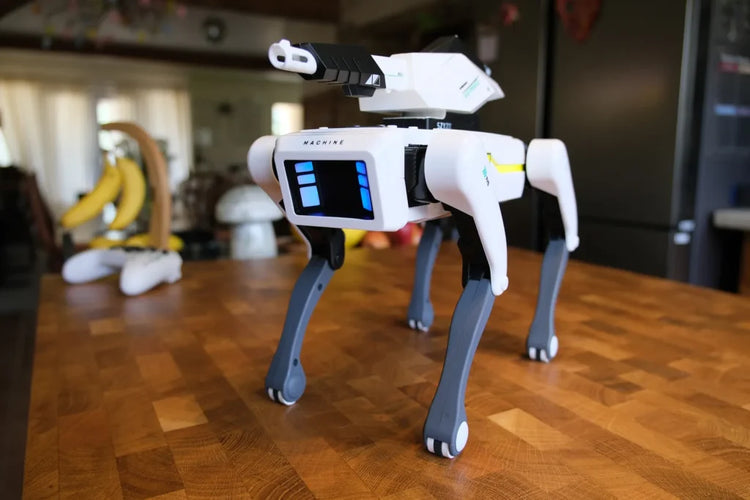 TerraHush™ Intelligent Robot Dog